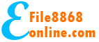 E-File 8868